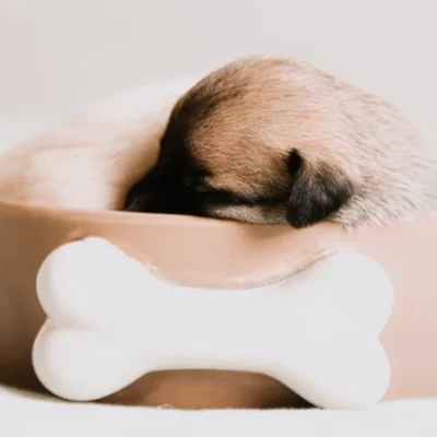 product thumb 7 optimized